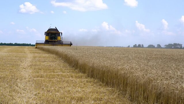 A combine harvester harvests wheat crops fields during the summer in Ukraine. In normal times, Ukraine's agricultural industry is one of the world's largest grain seed cultivators and exporters.