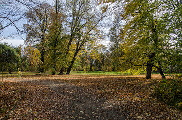 Ogród w Iwoniczu jesienią