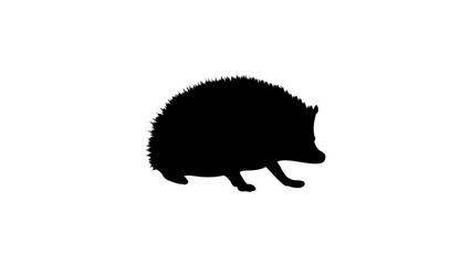 hedgehog silhouette © OMIA