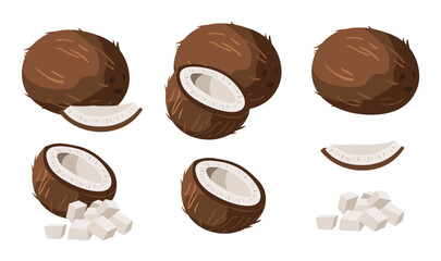Set of coconut in cartoon style