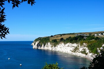 Elevated view of the Lyme Bay and the cliffs, Beer, Devon, UK, Europe