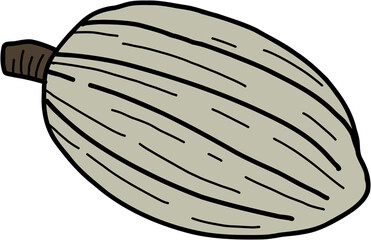 cacao fruit doodle freehand drawing.