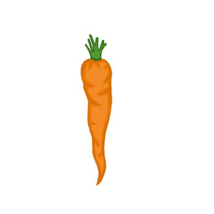 Carrot