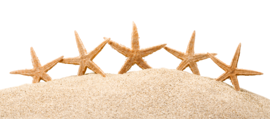 Starfishes with sand  isolated on a white background