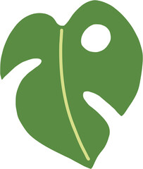 boho monstera leaf freehand drawing flat design.