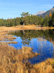Swiss Alps mountain wetland lake Lai Nair (Black Lake) with refleciton of autumn forest on the hiking trail at Scoul Tarasp, Lower Engadin, Switzerland
