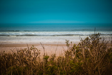 Plage sauvage dans le nord de la France