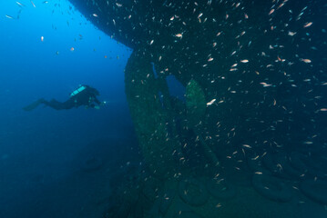 Elica del piroscafo Salpi, affondato vicino a Capo Ferrato, Sardegna, sul lato sub con rebreather