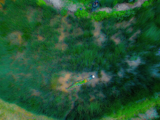Top view Farmers harvest Lepironia articulata, vietnamese name is co bang. It is harvested by...