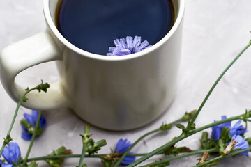 chicory drink and floating chicory flower in a coffee mug next to chicory flowers