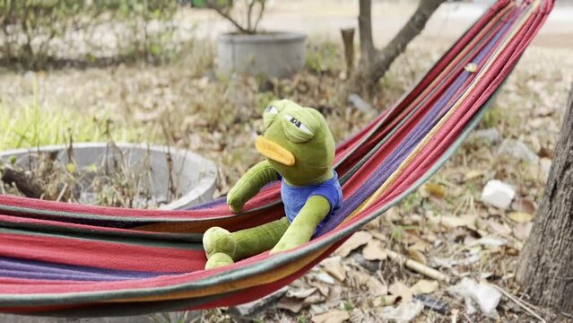 frog puppet in hammock