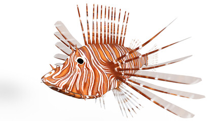 3D Spiny Fish