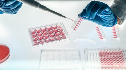 laboratory assistant fills a 96-well plate and microtubes with biological samples for PCR analysis