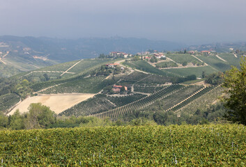 Obraz premium Langhe vineyards near Barolo and La Morra, Unesco Site, Piedmont, Italy