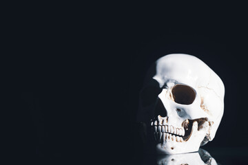 Human skull on a black background.