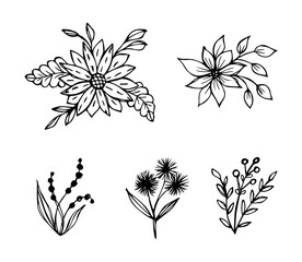set of hand drawn botanical flower doodle elements for floral design concept