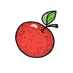 Red apple, a hand-drawn sketch-style doodle. Big apple. Cartoon. Apple with a twig and a leaf. Simple vector isolated on white background.
