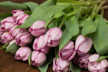 pink and lilac tulips lie on a wooden table