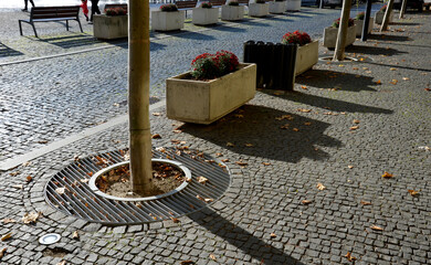 perennial flower beds with annual plantations on the edge of parking in paving on the granite...