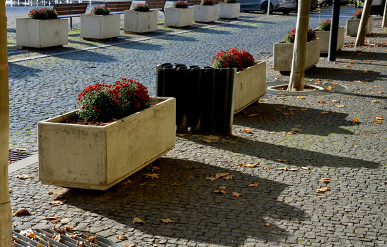 perennial flower beds with annual plantations on the edge of parking in paving on the granite cobblestone town square, stone pillars against the entrance and stone troughs and flower pots plant