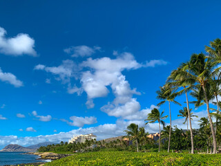 Fototapeta na wymiar Beautiful beach resort with palm trees in Hawaii, copy space