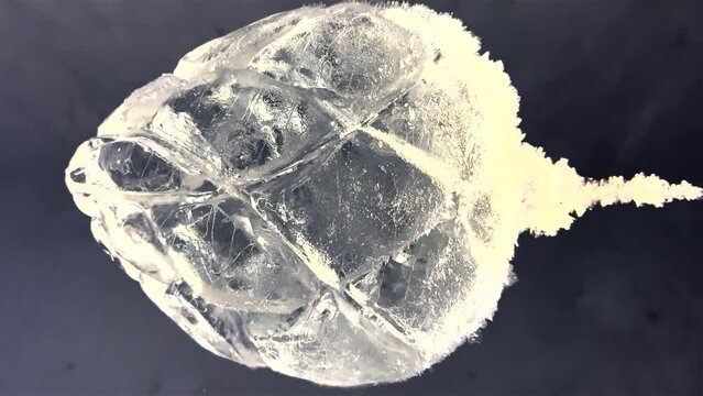 Close View Of Hanging Frozen Heart Shaped Ice Sculpture In Ice Hotel. Vertical Video, Dolly Back