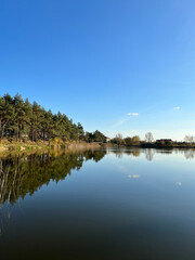 Fototapeta premium Autumn mood landscape with lake and forest in the perfect sunny weather