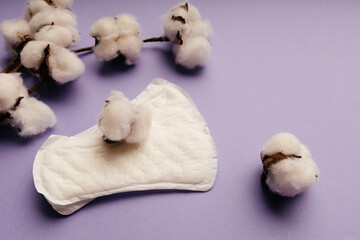 Women menstrual cycle theme. Sanitary pads with cotton on purple background