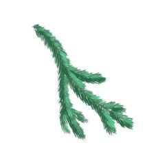 Christmas fir branches in the background