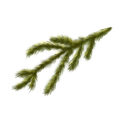 Christmas fir branches in the background