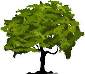 Organic Tree Illustration