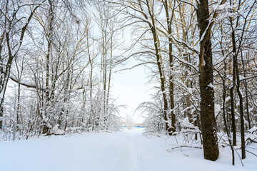 Fototapeta premium Hiking trail in a snow-covered, beautiful winter landscape.