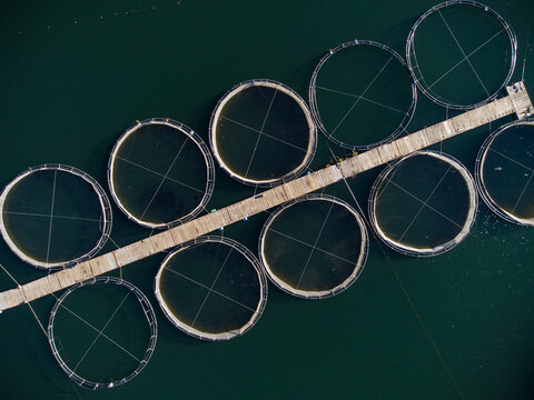 trout fish farm in the river aerial view