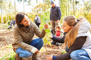 Familie und Kinder beim Baum pflanzen als Wald Aufforstung