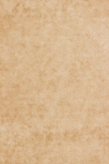 Old Paper texture. vintage paper background or texture; brown paper texture