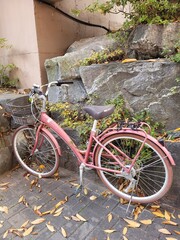 Pink bike