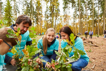 Familie mit Baum Setzlingen zur Aufforstung im Wald