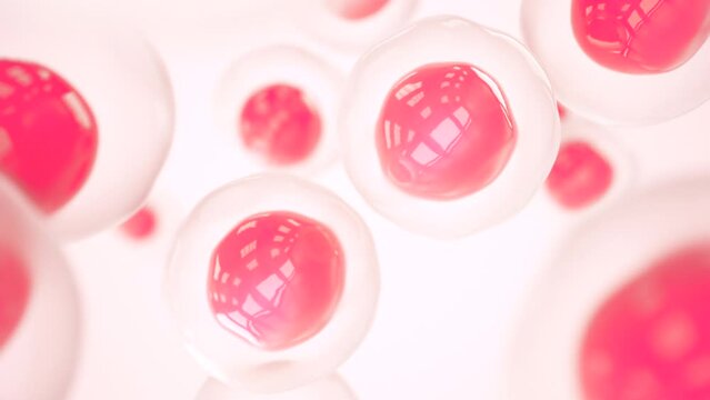 Cell division. Cells dividing under the microscope. Cloning cells. Mitosis in process. The process of growth and reproduction of the Virus