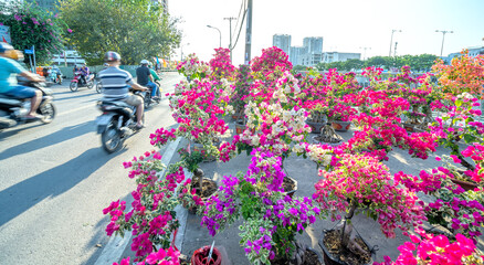 Bustle of buying flowers at flower market, locals buy flowers for decoration purpose the house on...