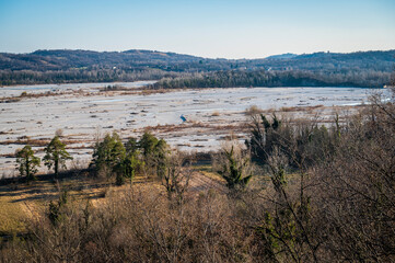 Tagliamento and Cornino lake. Winter nature and flowers