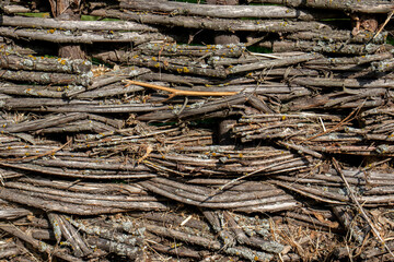 Fototapeta premium The fence is woven from dry branches, close-up. Weaving from dry willow branches. Wicker willow fence is a traditional wattle fence.