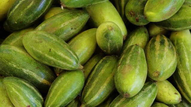 fresh organic pointed gourd from farm close up from different angle