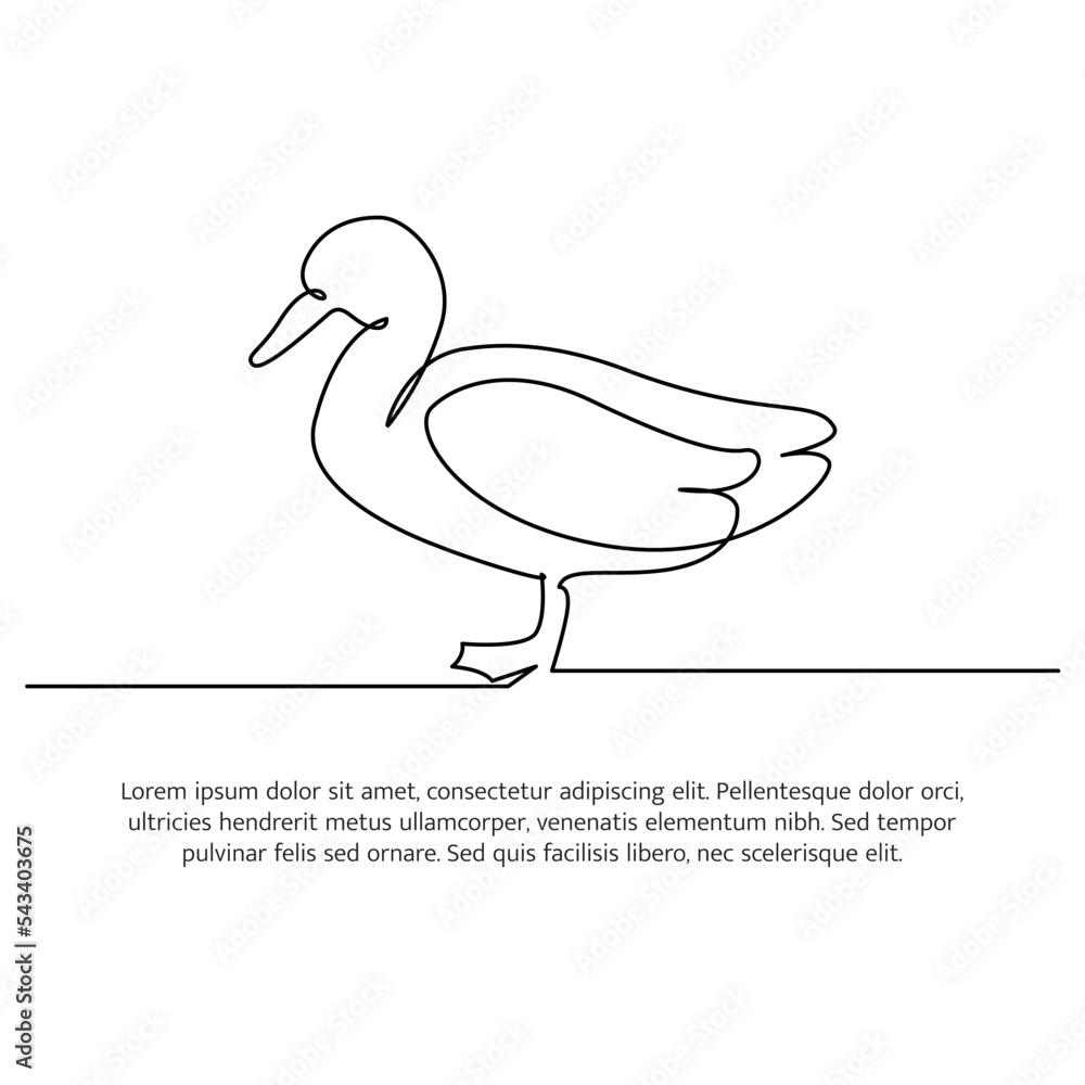 Poster duck line design. duck decorative elements drawn with one continuous line. vector illustration of mi