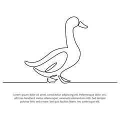 Fototapeta na wymiar Duck line design. Duck decorative elements drawn with one continuous line. Vector illustration of minimalist style on white background.