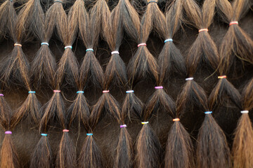 Horse hair close. Pigtails on elastic bands. Texture from horse hair. © Олег Копьёв