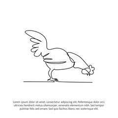 Rooster line design. Hen decorative elements drawn one continuous line. Vector illustration of minimalist style on white background.