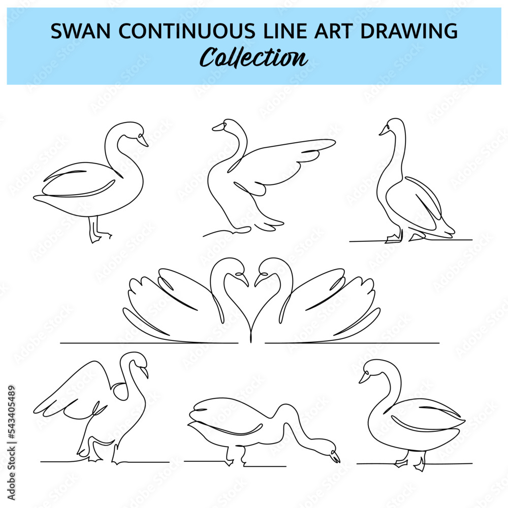 Poster set of swan line design. swan decorative elements drawn with one continuous line. vector illustratio