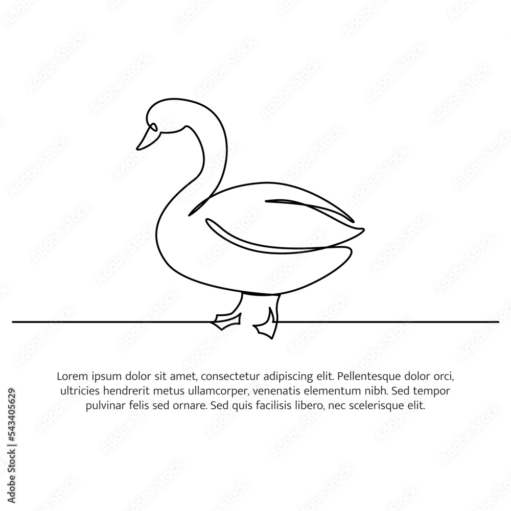 Poster swan line design. swan decorative elements drawn with one continuous line. vector illustration of mi