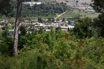Fototapeta na wymiar Landscape in a small town in northern Israel.