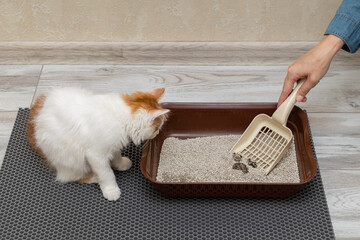 man cleans cat litter with a shovel.